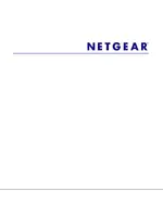 NETGEAR WNDRMAC-100RUS