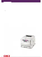 OKI C5300