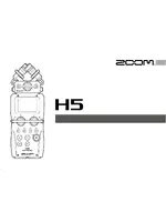 ZOOM H5
