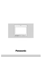 PANASONIC BT-H1700