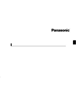 PANASONIC ES-WH80-P820