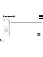 PANASONIC RR-XS400EE-S