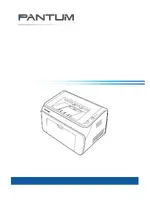 PANTUM P2050