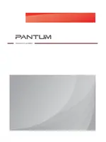 PANTUM P3200DN