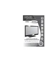 POLAR 81LTV3101