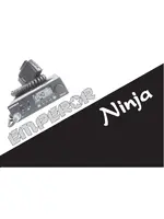 PRESIDENT NINJA