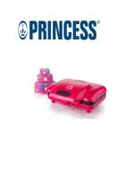 PRINCESS 132410