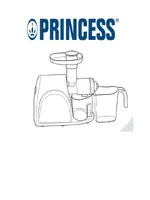 PRINCESS 202041