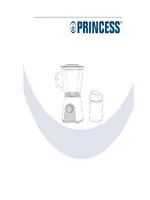 PRINCESS 217000