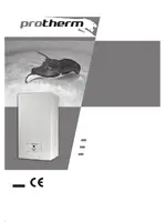 PROTHERM Скат 24 КR13