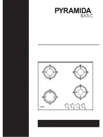 PYRAMIDA PFG 646