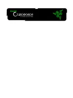 RAZER Ouroboros