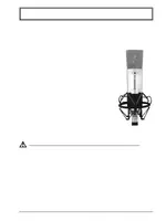 RODE NT2 (NT-2A)
