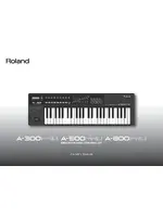 ROLAND A-300PRO-R