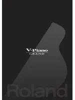 ROLAND GP-7-PE