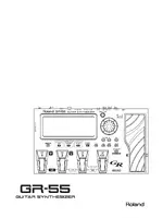 ROLAND GR-55 GK