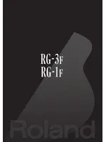 ROLAND RG-1F