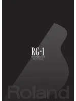 ROLAND RG-1-SB