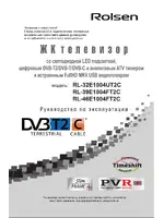 ROLSEN RL-46E1004FT2C