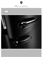 ROSENLEW RТ 291 NOIR