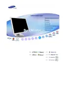 SAMSUNG 173P PLUS
