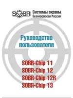 SOBR Chip 11