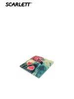 SCARLETT SC-BS33E075