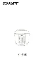 SCARLETT SC-MC410S04R