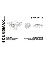 SOUNDMAX SM-CSF5.2
