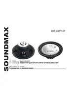 SOUNDMAX SM-CSP10F