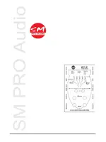 SM PRO AUDIO CT-2