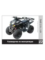 STELS ATV 110D