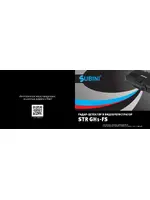 SUBINI GSTR GH1-FS