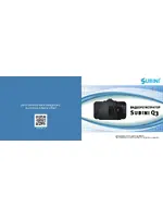 SUBINI Q3
