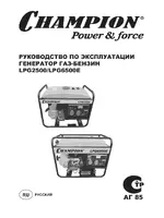 CHAMPION LPG6500