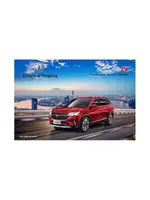 Инструкция Forthing T5 (2018 - нв)