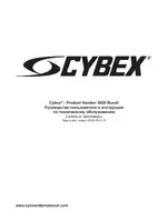Cybex 8820 Bravo Bench