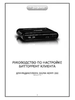DIGMA HDMP-300