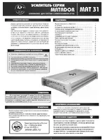 DLS MAT 31