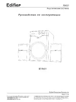 Edifier R401