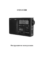 Eton_Grundig E1100
