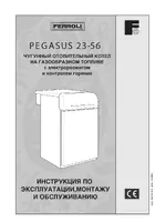 FERROLI Pegasus 23-56