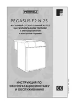 FERROLI Pegasus F2