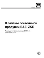 Flowserve BAE-ZKE