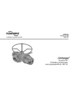 Flowserve Limitorque MX Accutronix