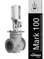Flowserve Valtek Mark 100
