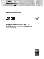 Flowserve ZK 29