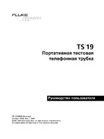 Fluke Networks TS19 Users Manual