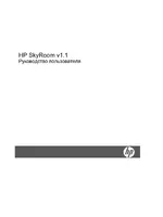 HP ПО v1 HP SkyRoom