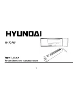 Hyundai H-F2565